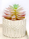 Luxor Planter