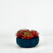 Teal Dreams Bathroom Set - ModVilla