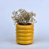 Wiggle Vase