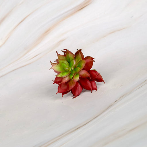Artificial Succulent Plant in Green, handcrafted plant