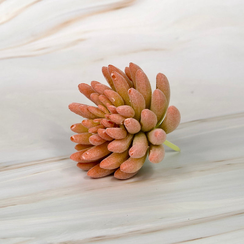Artificial Succulent Plant L - ModVilla