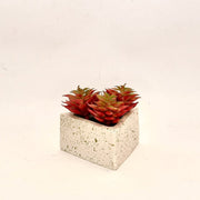 Ava Planter - ModVilla
