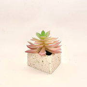 Ava Planter - ModVilla