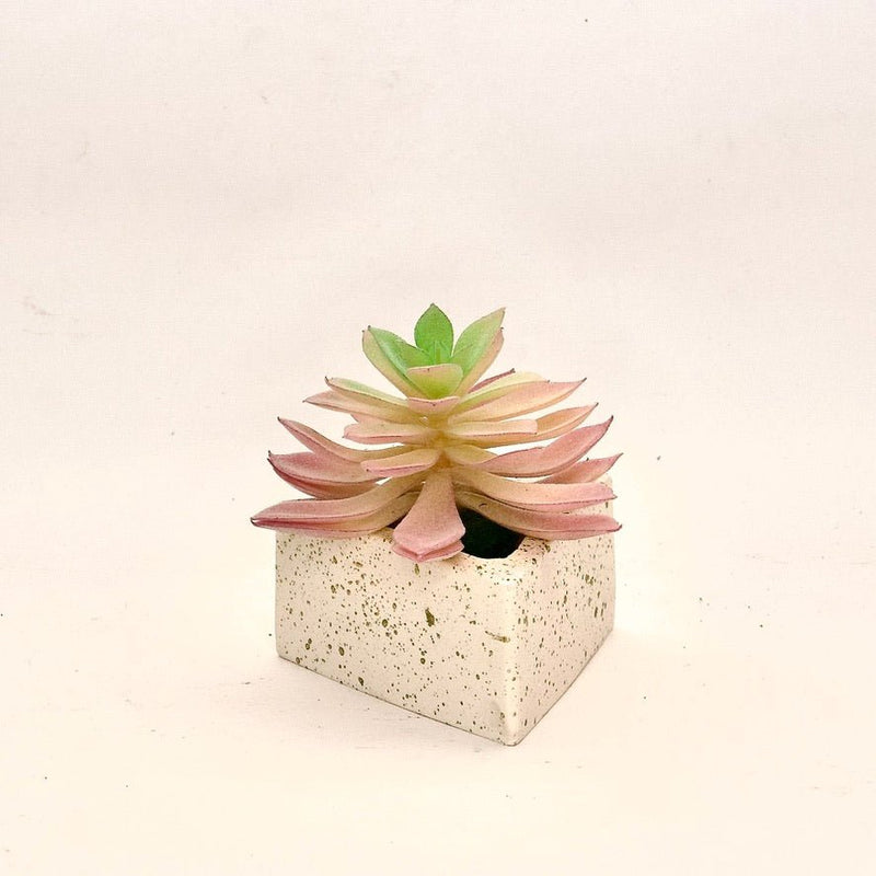 Ava Planter - ModVilla