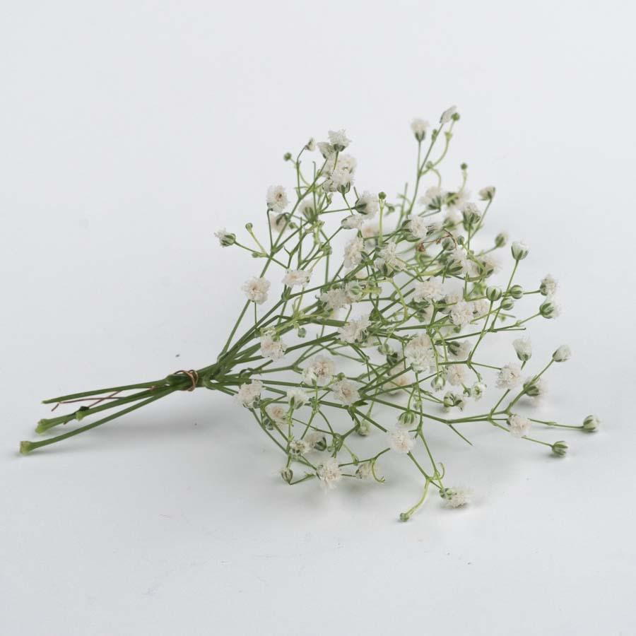 Dried Natural Baby Breathe Flowers in White, handcrafted flowers