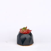 Ebony Table Set - ModVilla