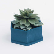 Felix Planter - ModVilla