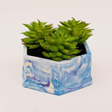 Felix Planter