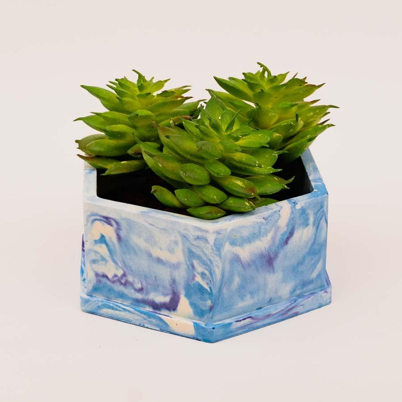 Felix Planter - ModVilla