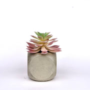 Gravel Bath/Office Set - ModVilla