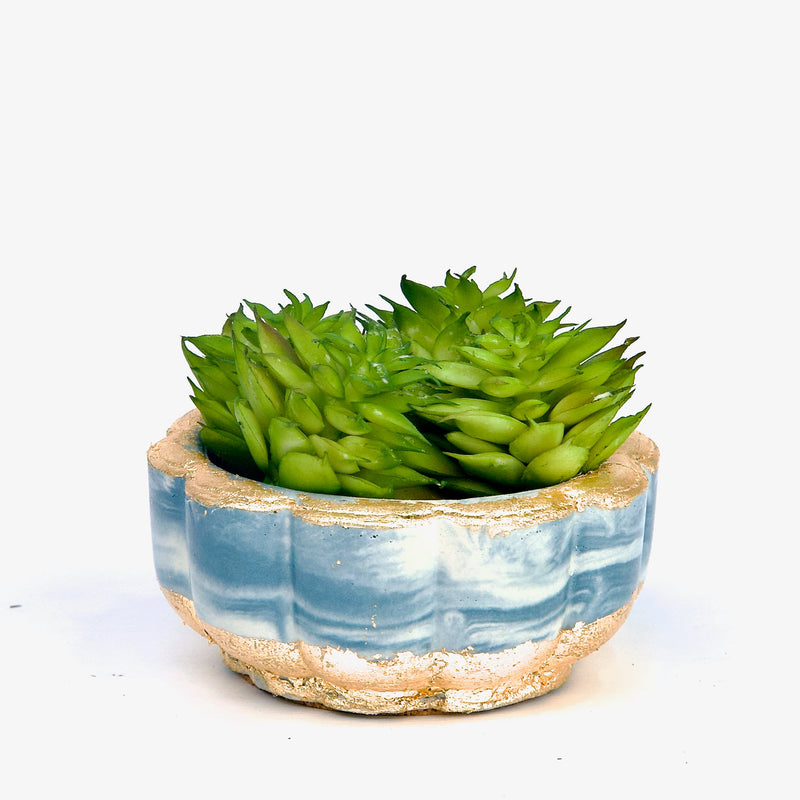 Luxurious Tabletop Arrangement - Light Blue Marbling with Gold Luxe Effect - ModVilla