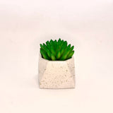 Octave Planter