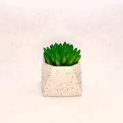 Octave Planter - ModVilla