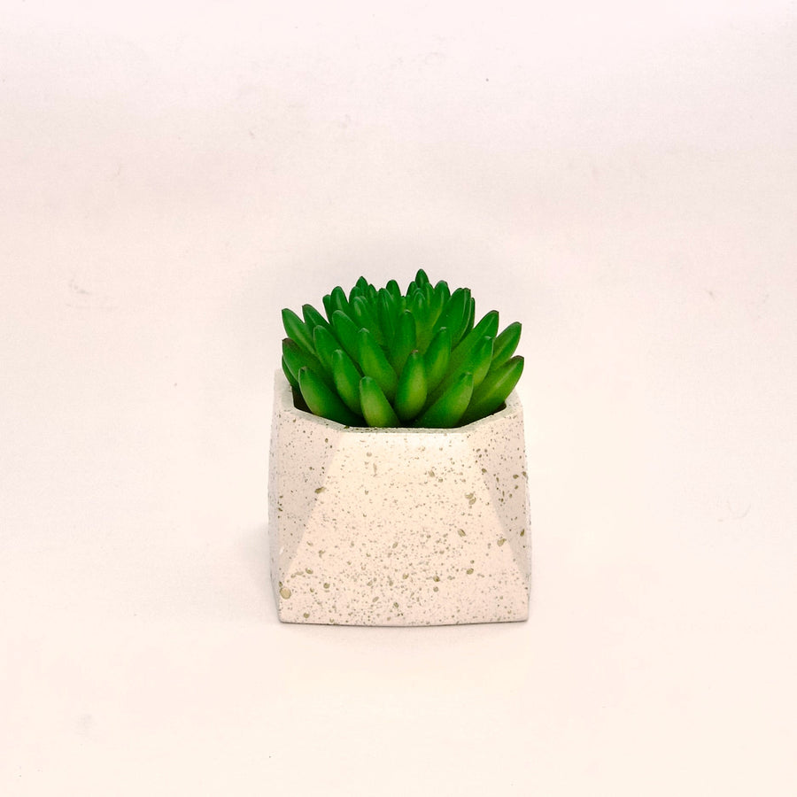 Octave Planter