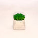 Octave Planter - ModVilla