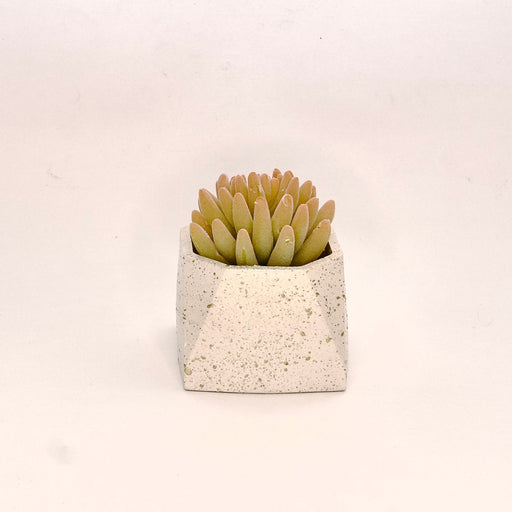 Octave Planter, handcrafted planter