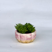 Orchid Table Set - ModVilla