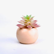 Petals Bathroom Set - ModVilla