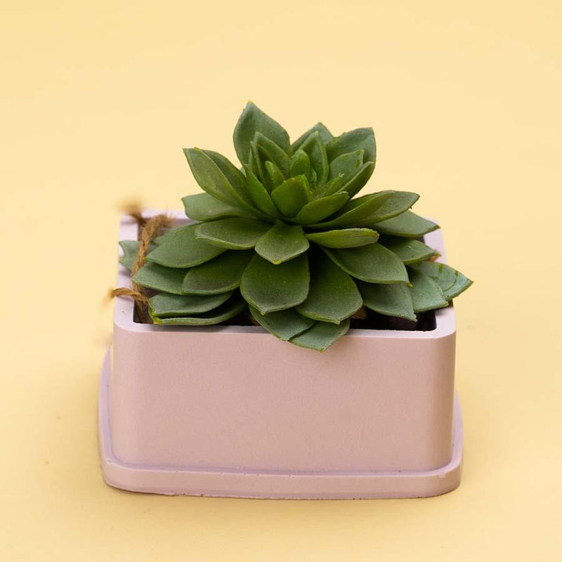 Vera Planter - ModVilla