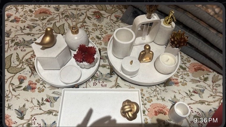 A ModVilla set in Rutvi's home